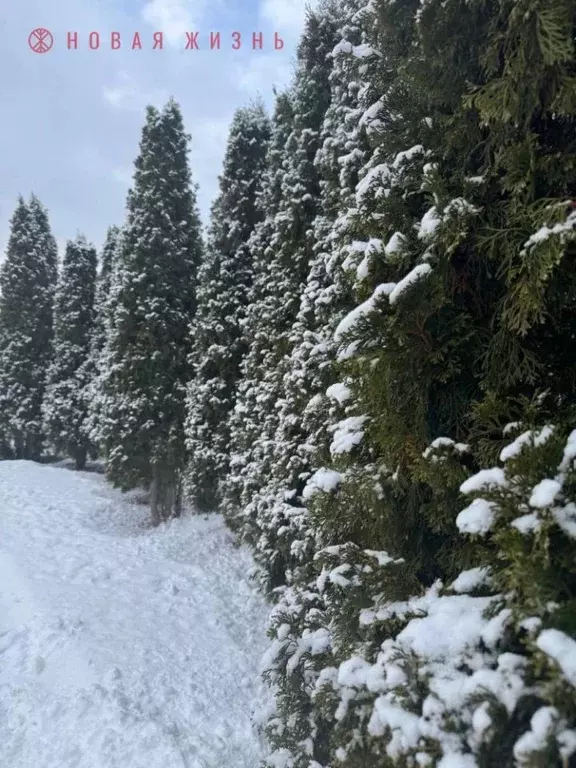 Коттедж в Самарская область, Самара с. Задельное, Восточная ул., 12 ... - Фото 1