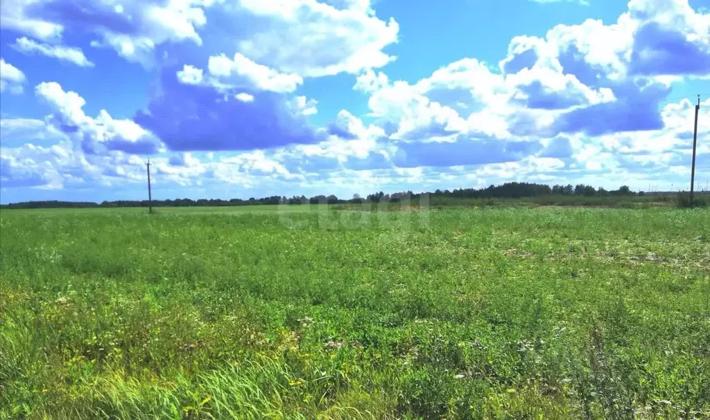 Участок в Брянская область, Унечский район А-240, 118-й км (24.0 сот.) - Фото 1