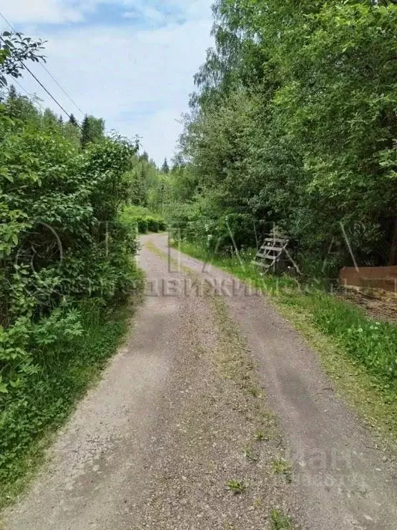 Участок в Ленинградская область, Выборгский район, Каменногорское ... - Фото 0