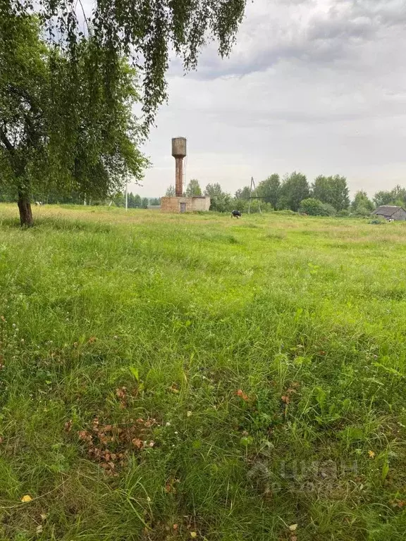 Участок в Ярославская область, Некрасовский муниципальный округ, ... - Фото 1