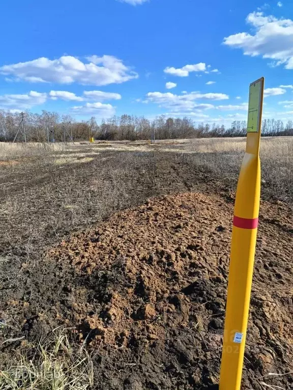 Участок в Тамбовская область, Тамбовский муниципальный округ, д. ... - Фото 2