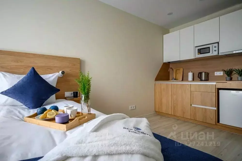 Студия Санкт-Петербург ул. Матроса Железняка, 2 (24.6 м) - Фото 1