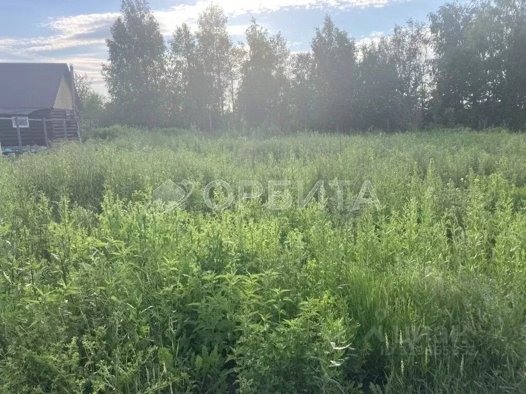 Участок в Тюменская область, Тюменский район, с. Каменка, Подушкино ... - Фото 1
