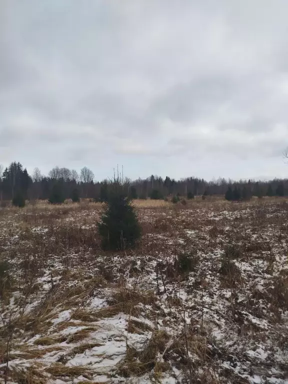 Участок в Московская область, Клин городской округ, д. Егорьевское  ... - Фото 0