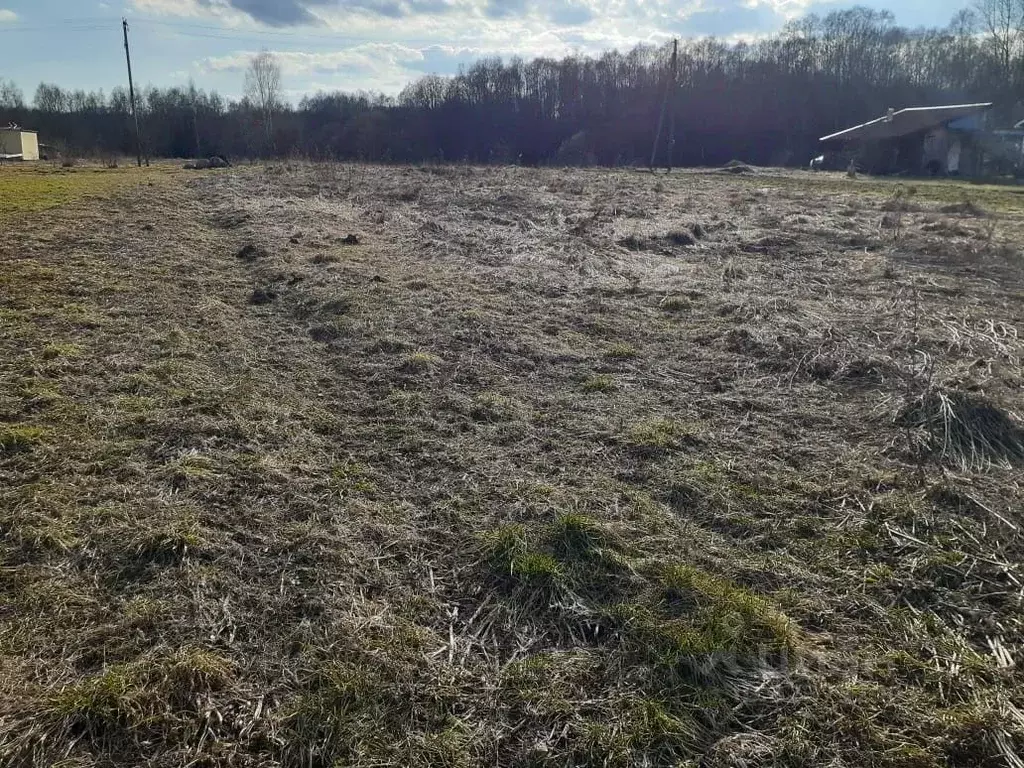 Участок в Новгородская область, Батецкий муниципальный округ, д. ... - Фото 1