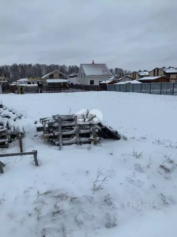 Участок в Новосибирская область, Новосибирский район, Каменский ... - Фото 1