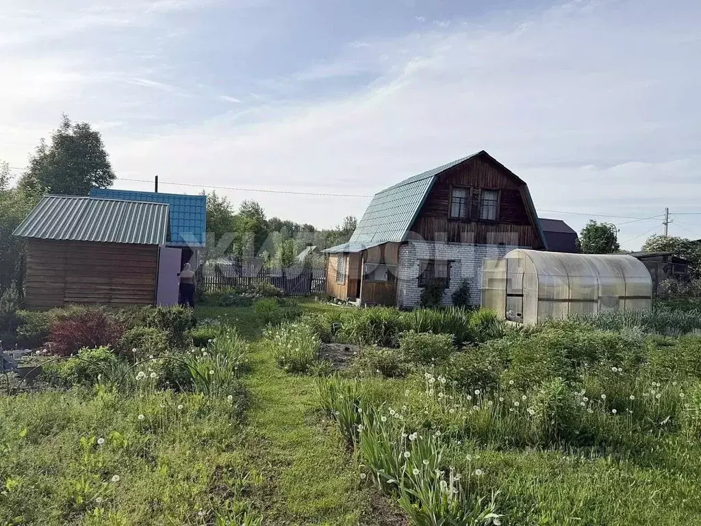 Участок в Новосибирская область, Тогучинский район, Ветеран СНТ  (6.0 ... - Фото 1