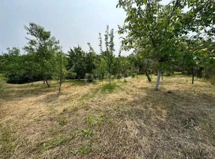 Участок в Адыгея, Майкопский район, Даховская ст-ца Ключевая ул. (7.0 ... - Фото 1