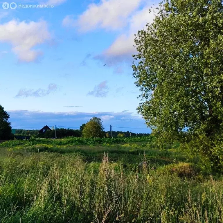 Участок в Рабитицкое сельское поселение, деревня Лиможа (20 м) - Фото 1