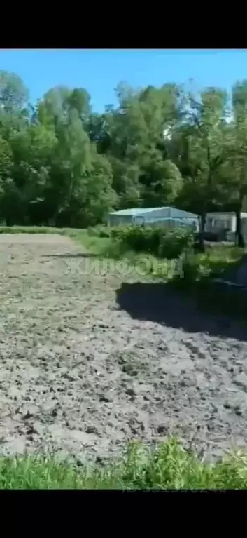 Участок в Брянская область, Карачевский район, Верхопольское с/пос, с. ... - Фото 2