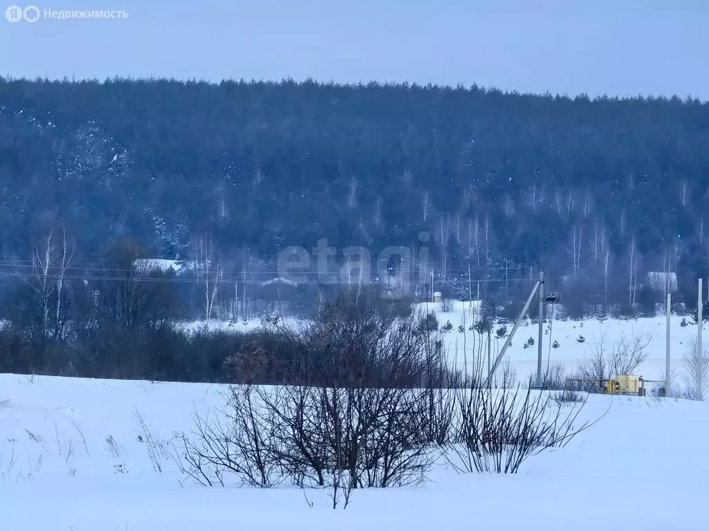 Участок в Республика Мордовия, село Кочкурово (20 м) - Фото 2