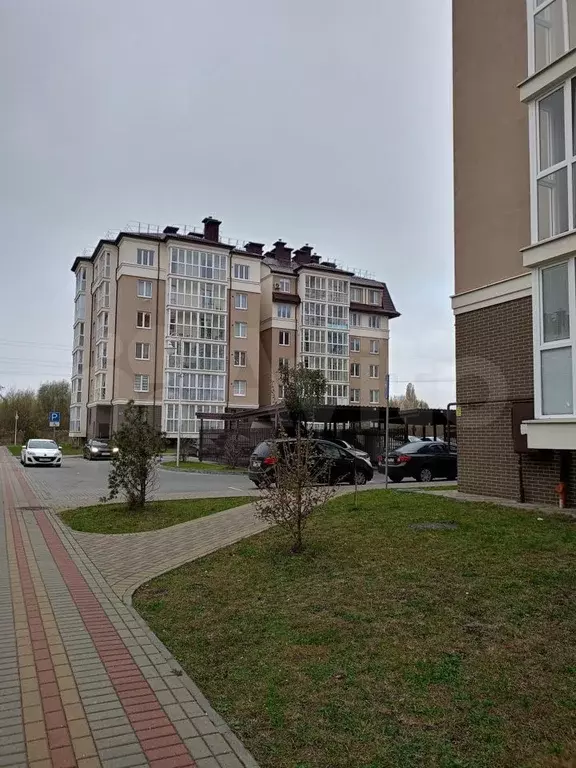 2-к. квартира, 59 м, 4/6 эт. - Фото 1