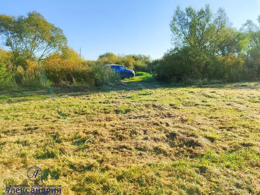 Участок в Новгородская область, Новгородский район, Борковское с/пос, ... - Фото 2