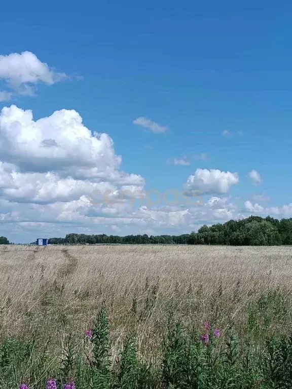 Участок в Тюменская область, Тюменский район, Новокаменский кп  (8.0 ... - Фото 0