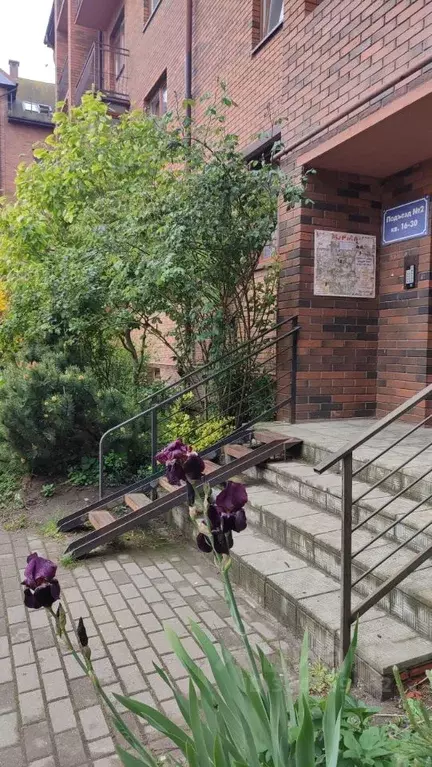 Свободной планировки кв. Калининградская область, Пионерский ... - Фото 2