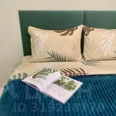 1-к кв. Карелия, Петрозаводск просп. Ленина, 10 (32.0 м) - Фото 1