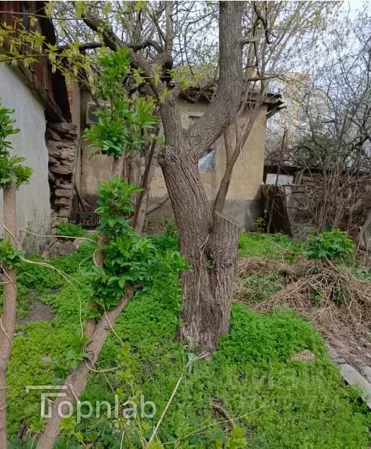 Участок в Ставропольский край, Ставрополь ул. Лермонтова, 68 (9.0 ... - Фото 2