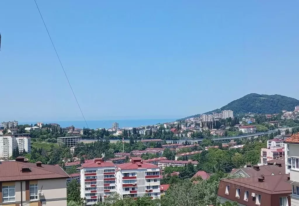 Студия Краснодарский край, Сочи Донская мкр, ул. Пасечная, 45Г/1 (28.0 ... - Фото 0
