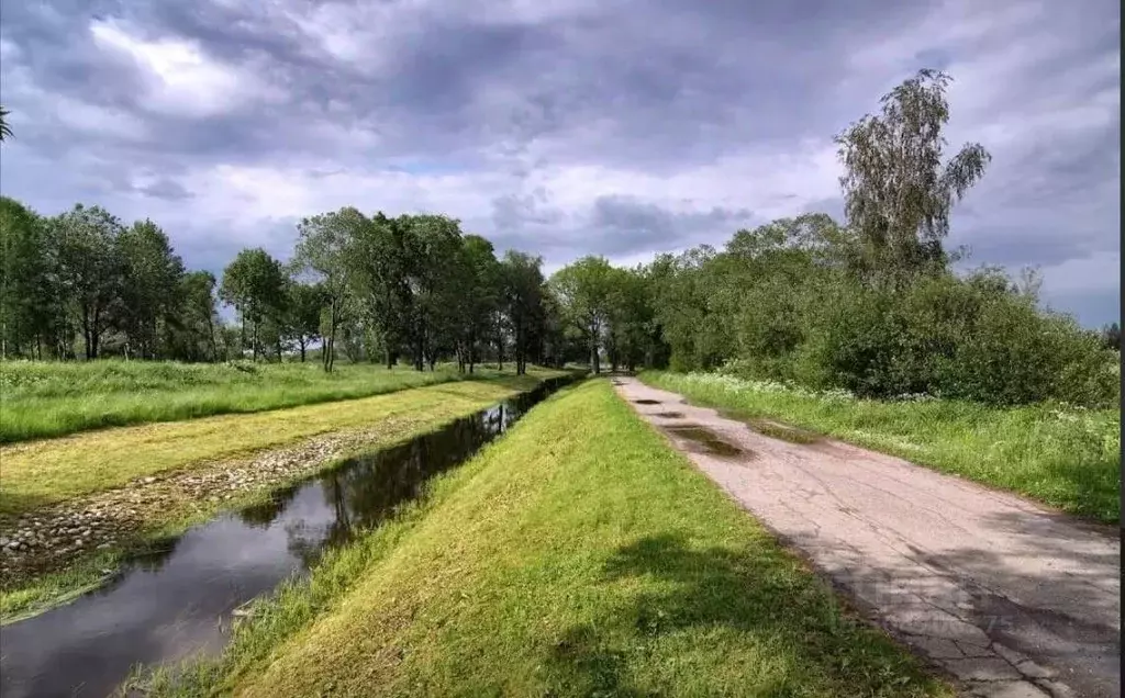 Участок в Ленинградская область, Ломоносовский район, д. Санино ул. ... - Фото 0