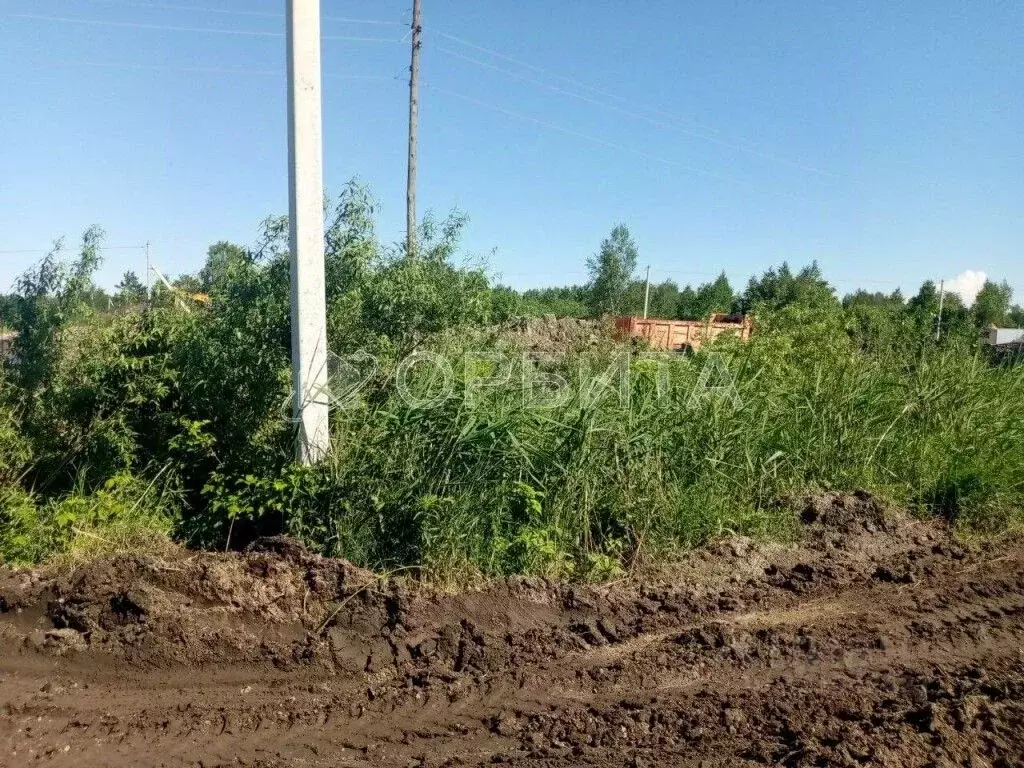 Участок в Тюменская область, Тюмень  (7.2 сот.) - Фото 1