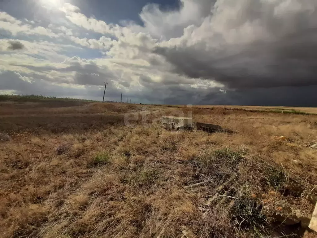 Участок в Крым, Феодосия муниципальный округ, с. Насыпное ул. Анатолия ... - Фото 2