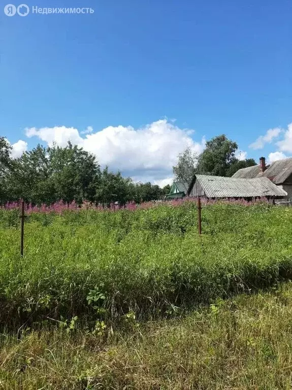 Участок в Волосовский район, Большеврудское сельское поселение, ... - Фото 1