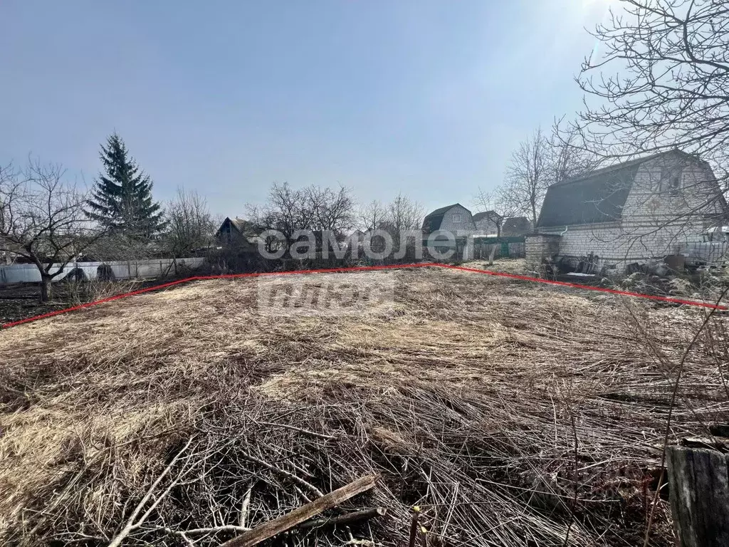 Участок в Брянская область, Брянский район, Снежское с/пос, с. ... - Фото 2