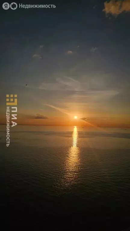 1-комнатная квартира: Санкт-Петербург, улица Челюскина, 10 (39.9 м) - Фото 2