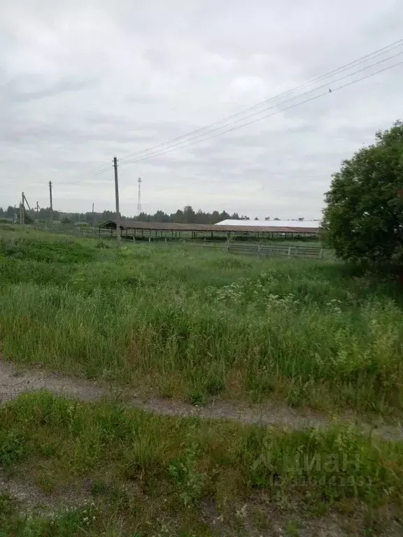 Производственное помещение в Рязанская область, Путятинский ... - Фото 1