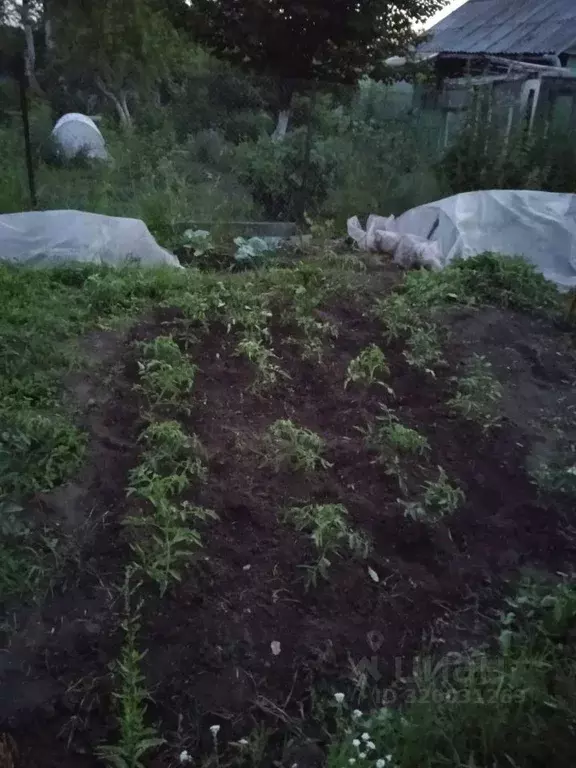 Участок в Челябинская область, Челябинск Металлург СНТ, Квартал 3-й ... - Фото 2