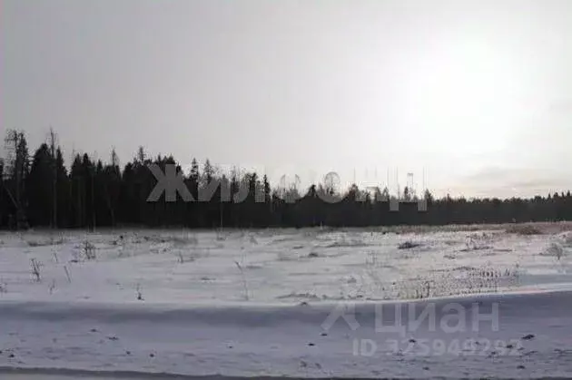 Участок в Новосибирская область, Новосибирский район, Кубовинский ... - Фото 2