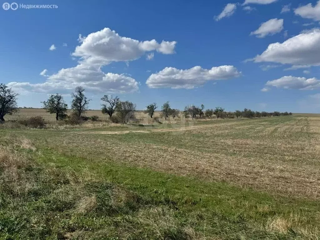 Участок в село Ручьи, улица Шевченко (8497 м) - Фото 1