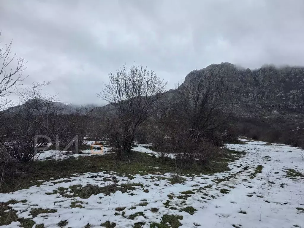 Участок в Крым, Алушта муниципальный округ, с. Лучистое ул. Имени Ю. ... - Фото 1