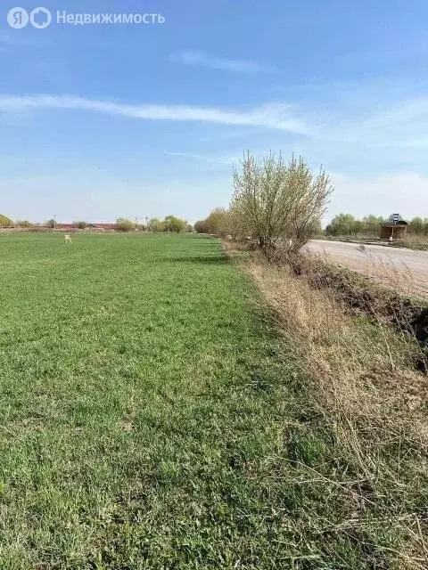 Участок в Московская область, Раменский муниципальный округ, ... - Фото 2