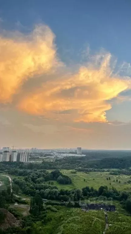 1-к кв. Московская область, Красногорск городской округ, Путилково пгт ... - Фото 2