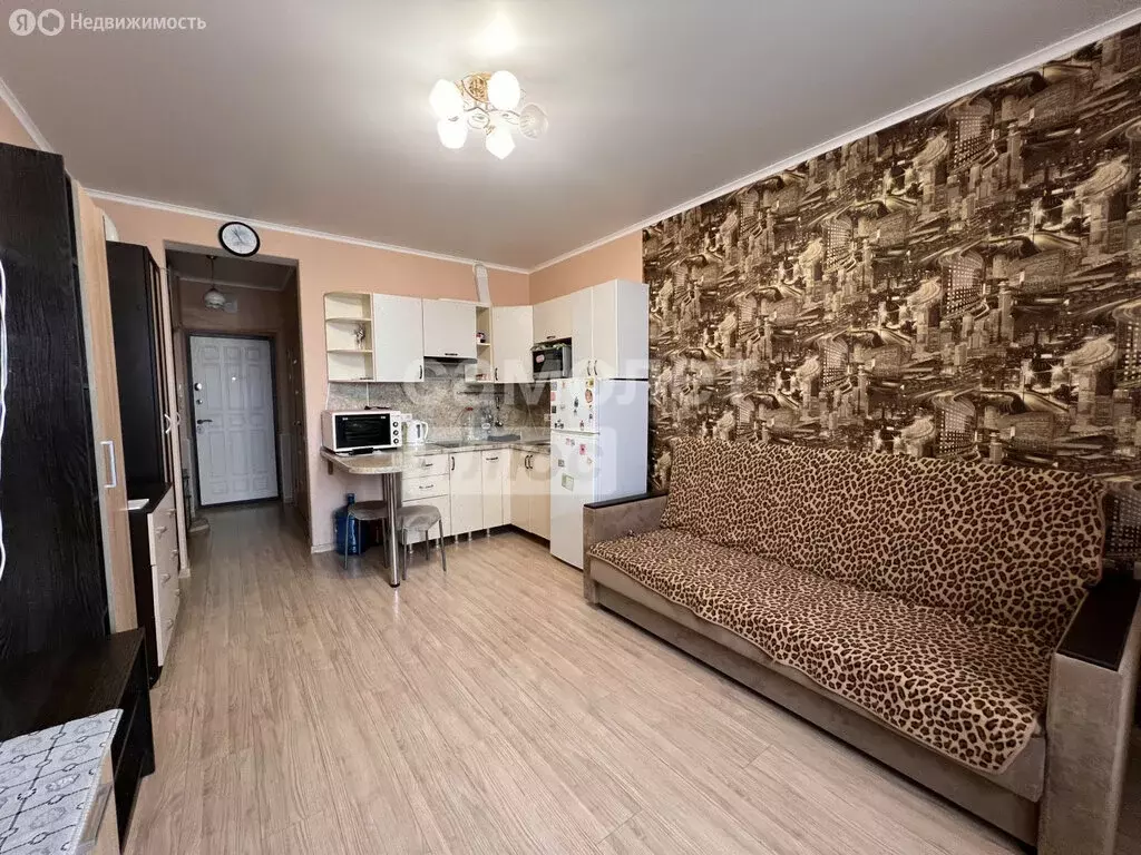 Квартира-студия: Анапа, Владимирская улица, 114к1 (25.4 м) - Фото 2