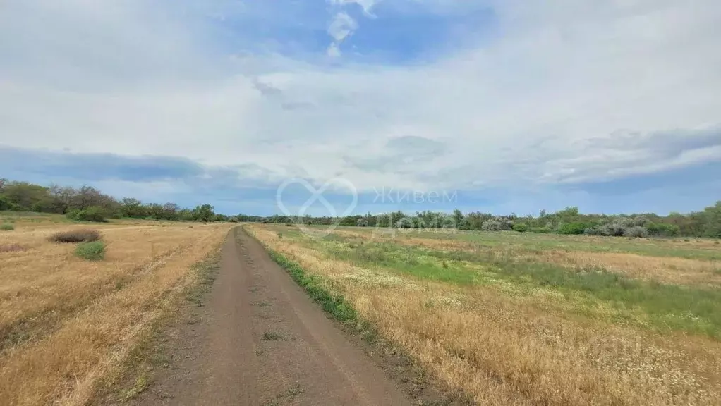 Участок в Волгоградская область, Средняя Ахтуба рп ул. Воровского ... - Фото 1