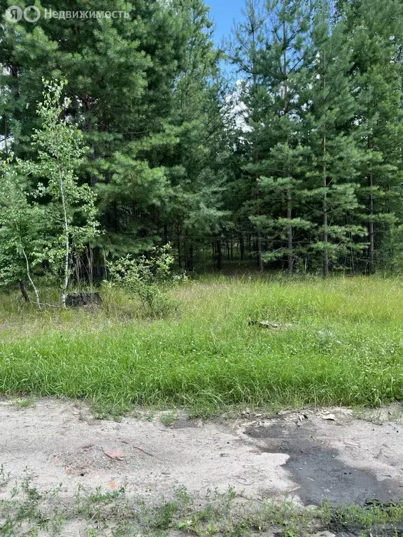 Участок в Колташево, микрорайон Солнечный (10 м) - Фото 0