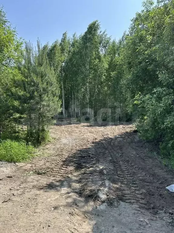 Участок 7,3 сот. (ИЖС) - Фото 0