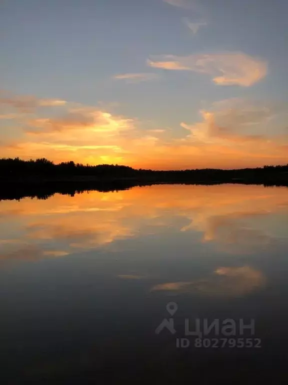 2-к кв. Тверская область, Конаковский муниципальный округ, Радченко ... - Фото 1