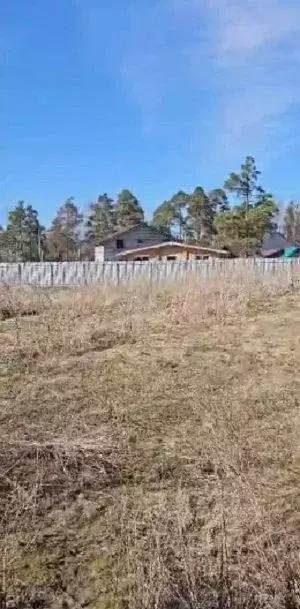 Участок в Новосибирская область, Новосибирский район, Кубовинский ... - Фото 1