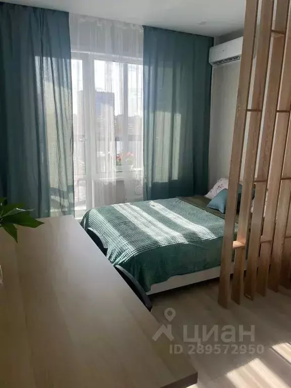 Студия Новосибирская область, Новосибирск ул. Ясный Берег, 25 (26.0 м) - Фото 0