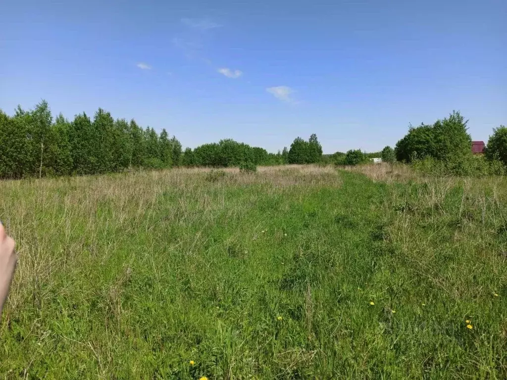 Участок в Нижегородская область, Богородский муниципальный округ, с. ... - Фото 2