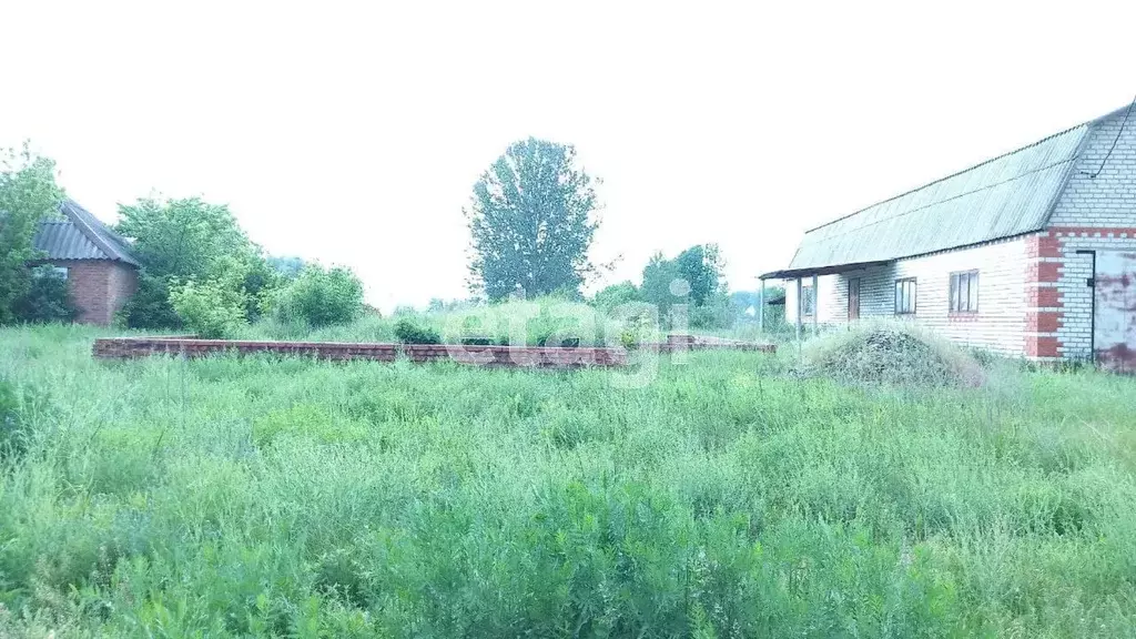 Дом в Белгородская область, Валуйский городской округ, Уразово пгт ул. . - Фото 1