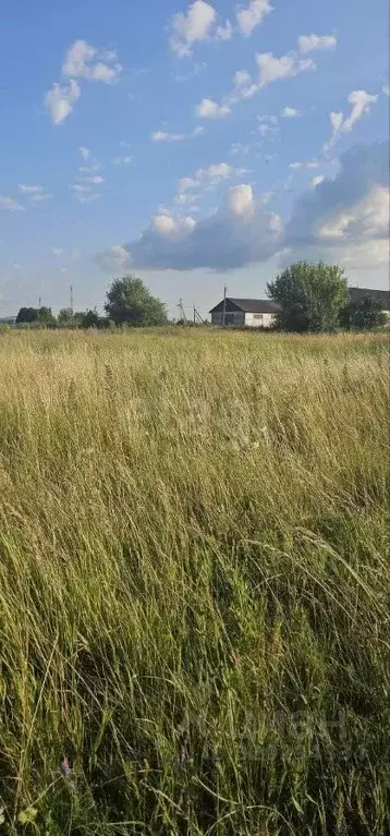 Участок в Курская область, Курский район, Лебяженский сельсовет, с. ... - Фото 0