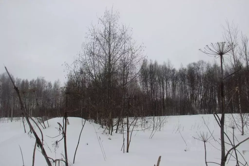 Участок в Московская область, Шаховская муниципальный округ, д. ... - Фото 2