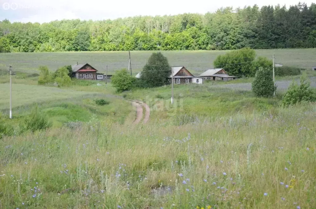 Участок в Тукаевский район, деревня Азьмушкино (8 м) - Фото 1