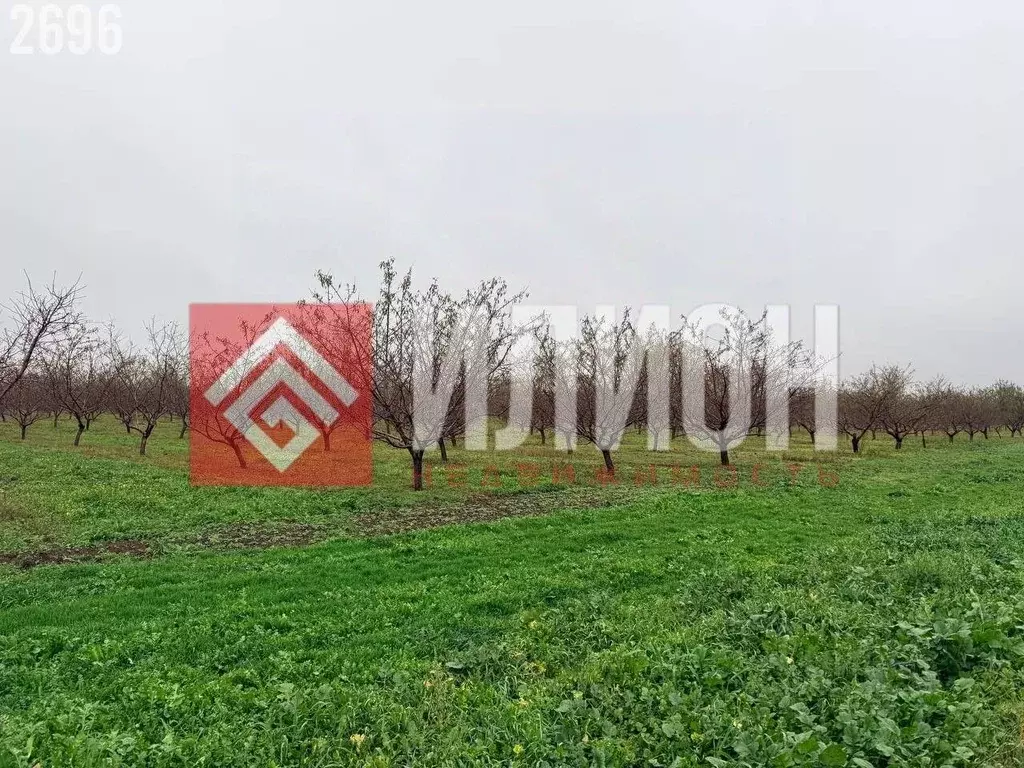 Участок в Крым, Кировский район, Первомайское с/пос, с. Первомайское ... - Фото 2