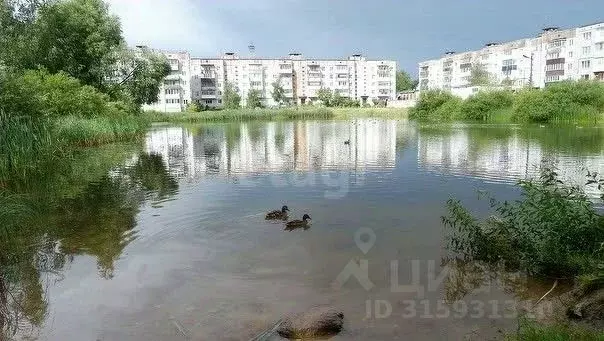 1-к кв. Псковская область, Остров ул. Меркурьева, 16 (32.4 м) - Фото 1