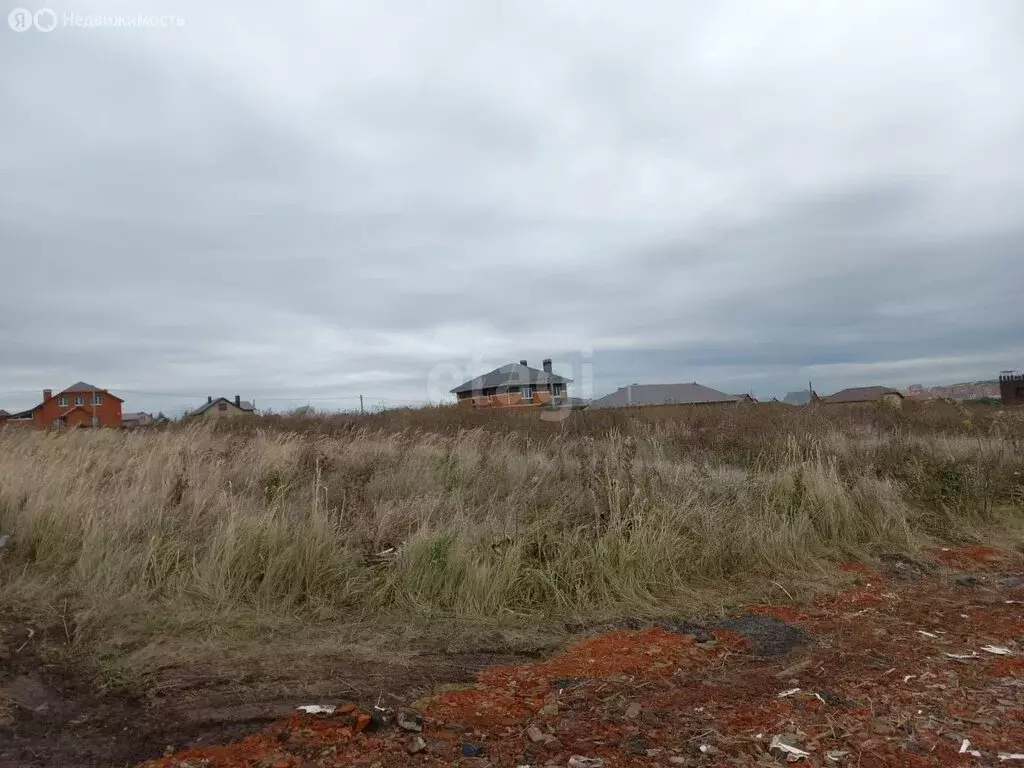 Участок в Лямбирский район, Берсеневское сельское поселение, село ... - Фото 0